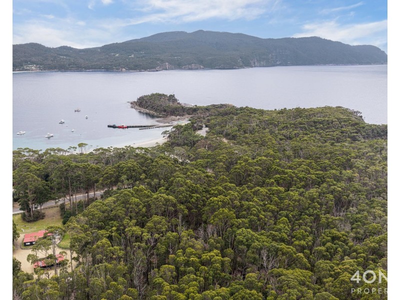 334 Blowhole Road, Eaglehawk Neck TAS 7179