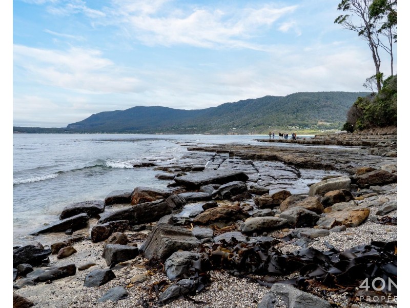 334 Blowhole Road, Eaglehawk Neck TAS 7179