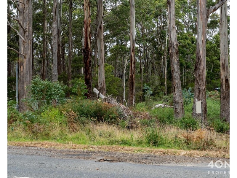 334 Blowhole Road, Eaglehawk Neck TAS 7179