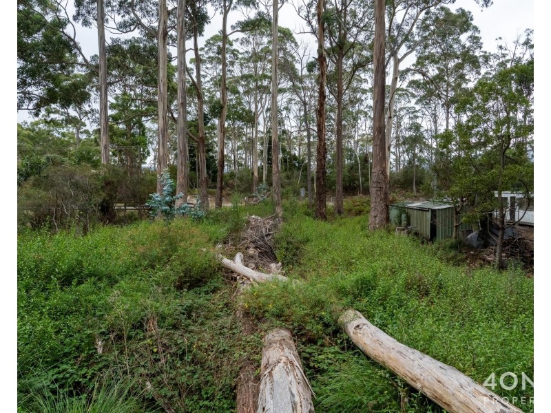 334 Blowhole Road, Eaglehawk Neck TAS 7179