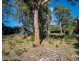 7 Havelock Road, Eaglehawk Neck TAS 7179
