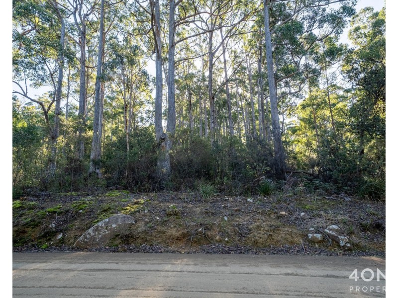 202 Old Jetty Road, Eaglehawk Neck TAS 7179