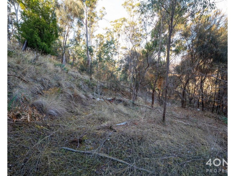 124 Church Road, Dromedary TAS 7030