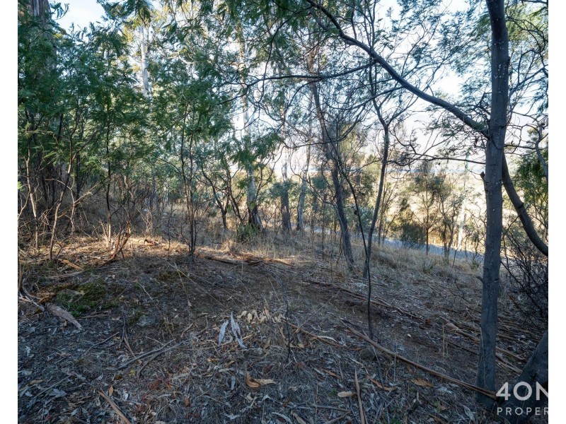 124 Church Road, Dromedary TAS 7030