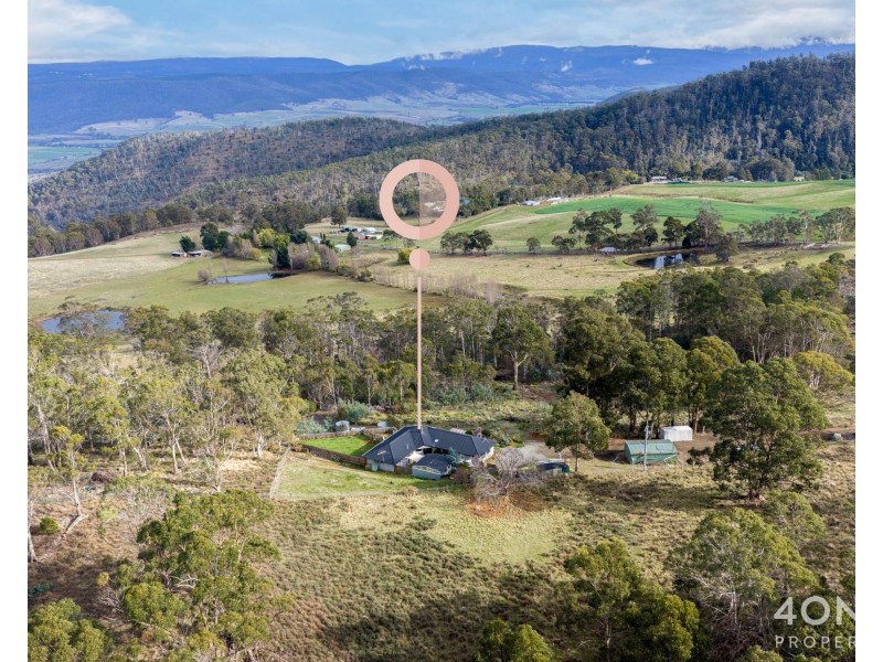 4 Braslins Road, Black Hills TAS 7140