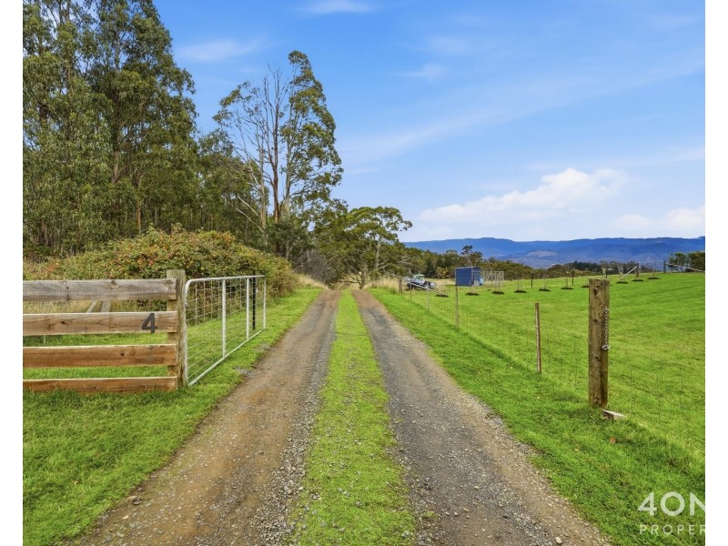 4 Braslins Road, Black Hills TAS 7140