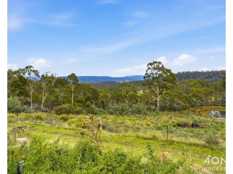 4 Braslins Road, Black Hills TAS 7140