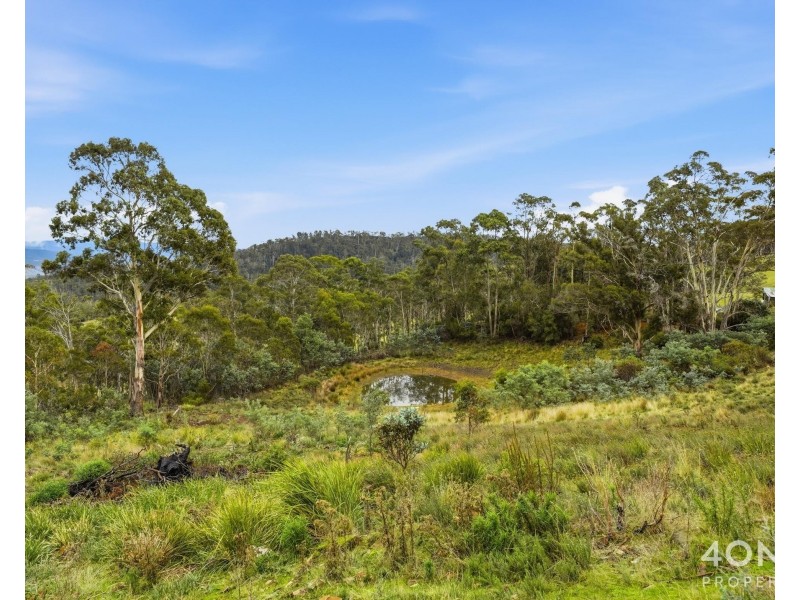 4 Braslins Road, Black Hills TAS 7140