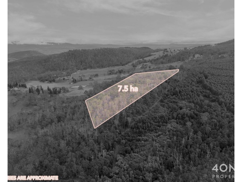 4 Braslins Road, Black Hills TAS 7140