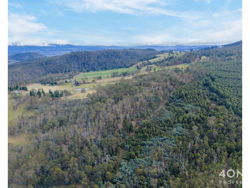 4 Braslins Road, Black Hills TAS 7140