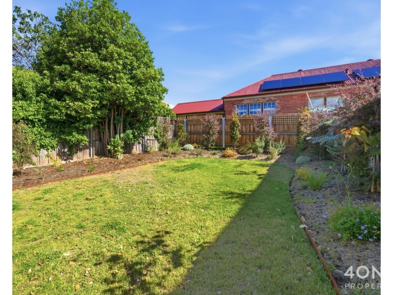338 Argyle Street, North Hobart TAS 7000
