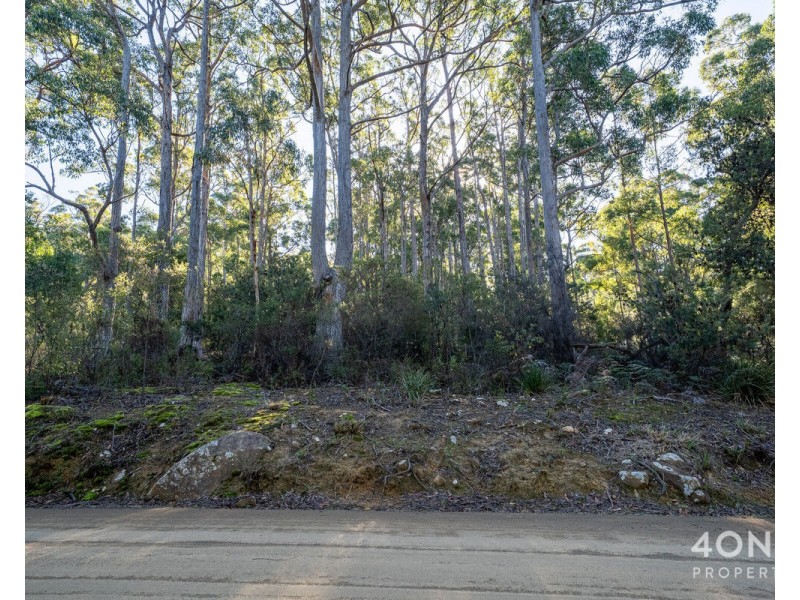 202 Old Jetty Road, Eaglehawk Neck TAS 7179