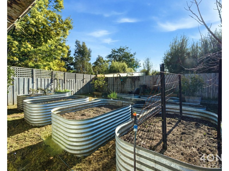 16 Constance Avenue, Glenorchy TAS 7010
