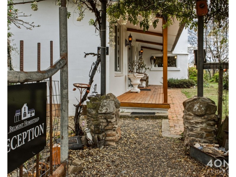 14106 Tasman Highway, Swansea TAS 7190