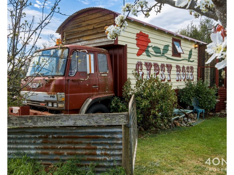 14106 Tasman Highway, Swansea TAS 7190