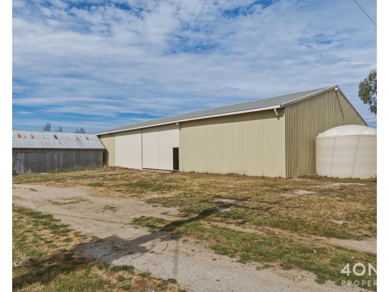 14106 Tasman Highway, Swansea TAS 7190
