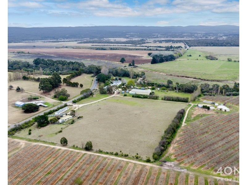 14106 Tasman Highway, Swansea TAS 7190