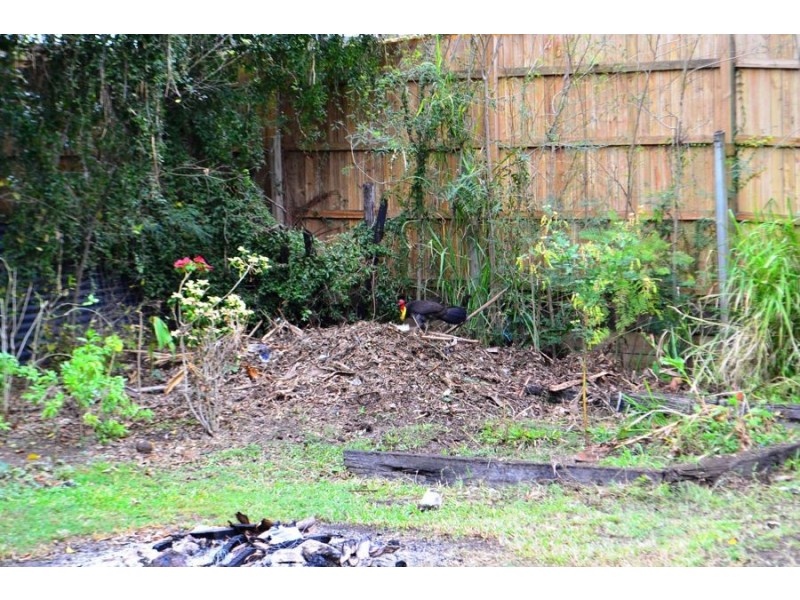 127 Stephens Road, South Brisbane QLD 4101