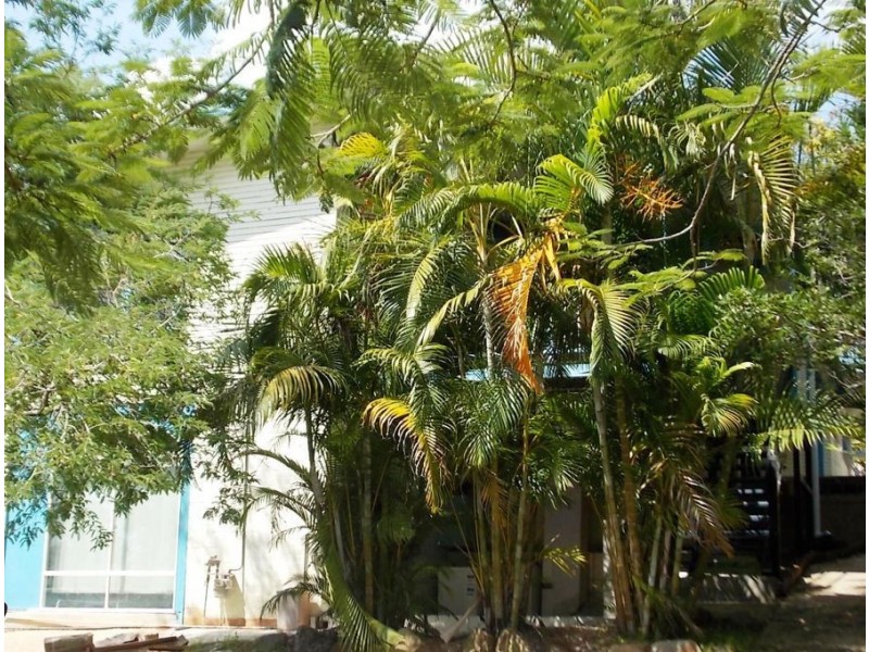 St Lucia QLD 4067