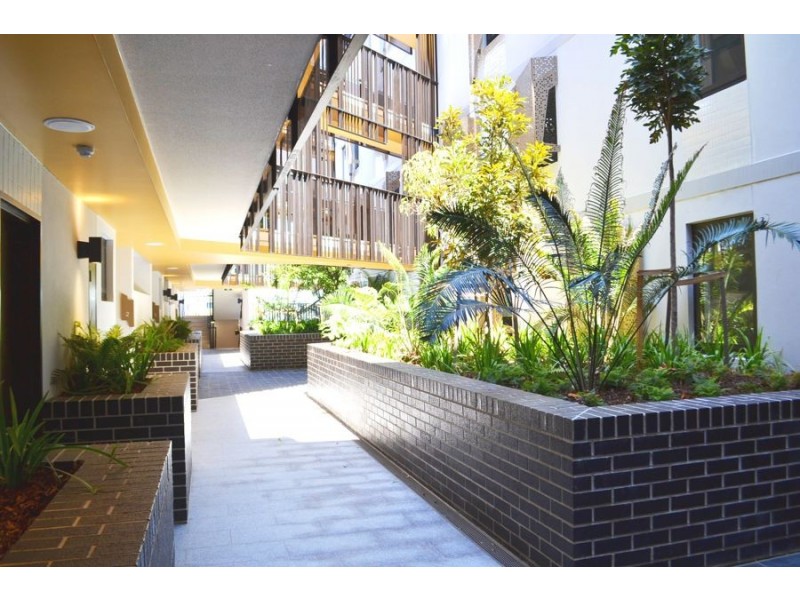 106/21 Peter Doherty Place, Dutton Park QLD 4102