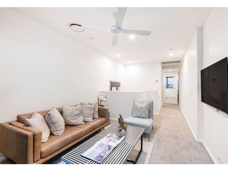 35 Smith Street, Cannon Hill QLD 4170