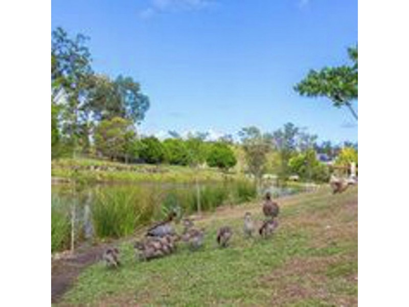 9 Watercress Street, Upper Coomera QLD 4209