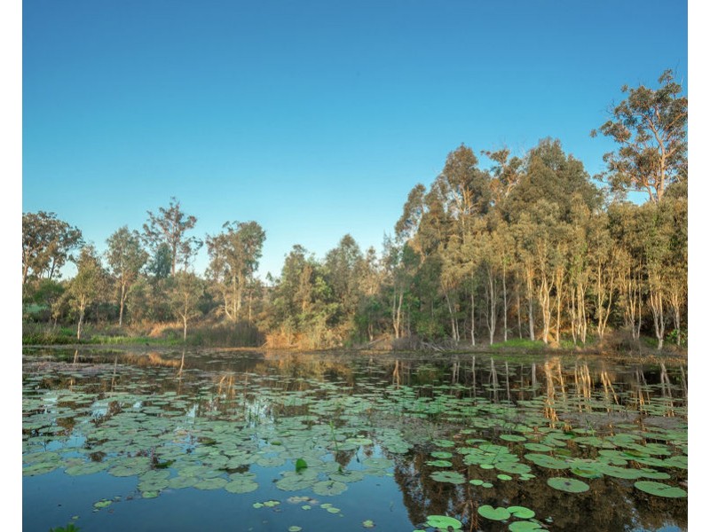 52 Silver Gull St, Coomera QLD 4209