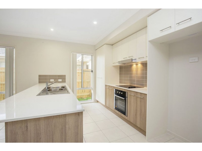 16 Learning St, Coomera QLD 4209