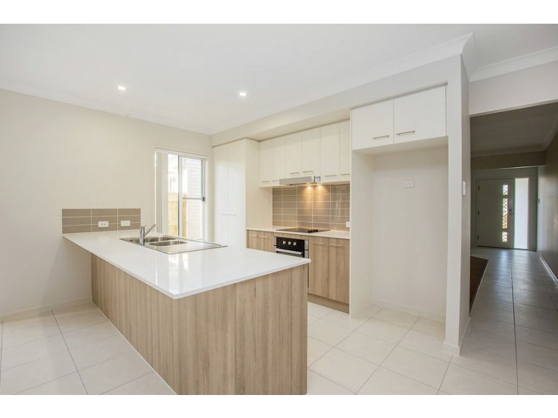 16 Learning St, Coomera QLD 4209