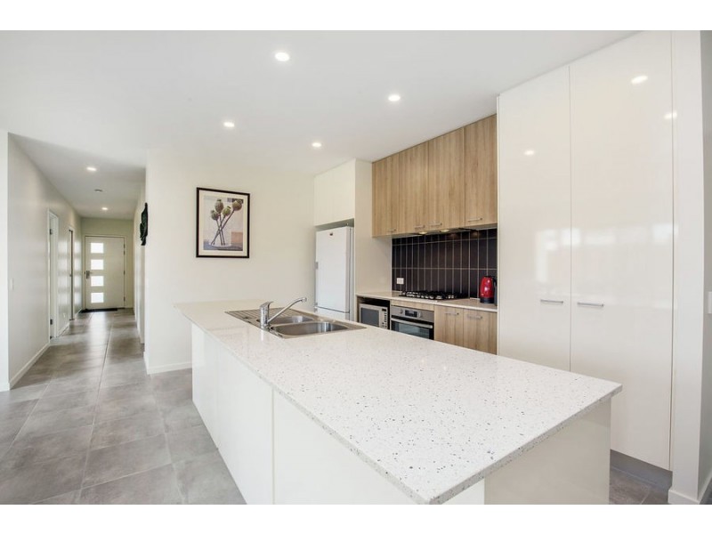 43 Apple Berry Avenue, Coomera QLD 4209