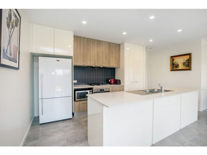 43 Apple Berry Avenue, Coomera QLD 4209