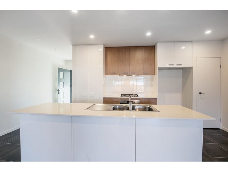 21 King Orchid Circuit, Coomera QLD 4209