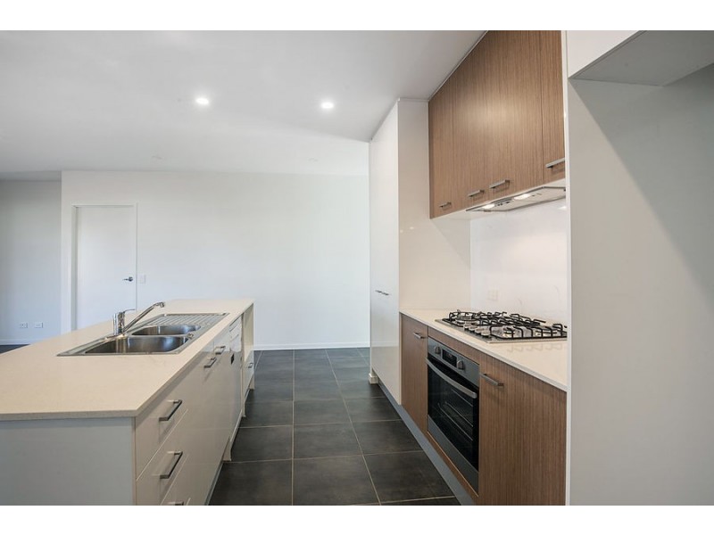 21 King Orchid Circuit, Coomera QLD 4209