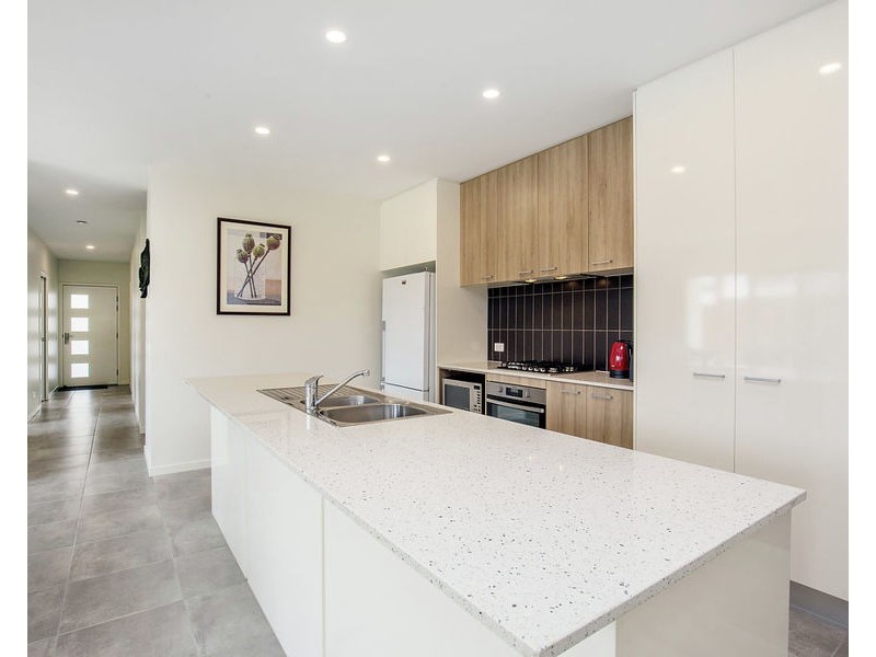 43 Apple Berry Avenue, Coomera QLD 4209