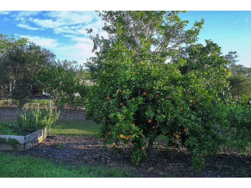 25 Panorama Drive, Beaudesert QLD 4285