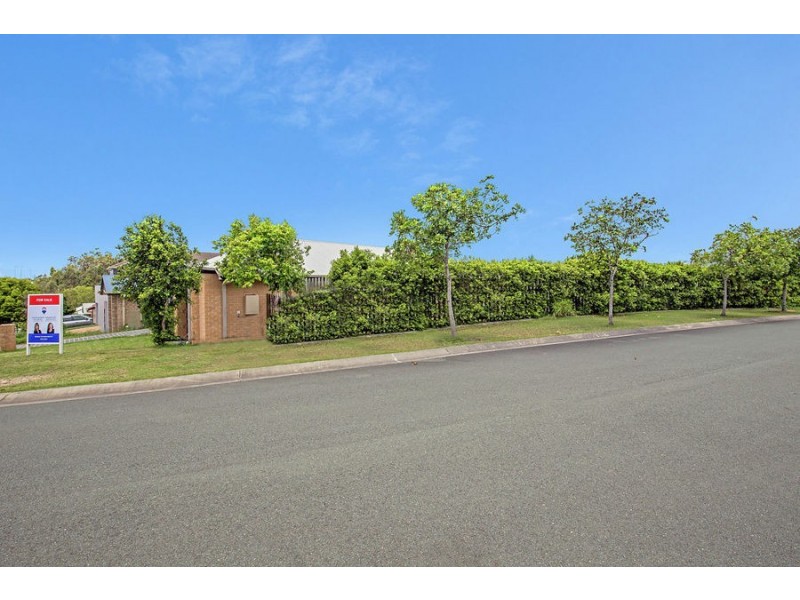 7 Silver Gull Street, Coomera QLD 4209