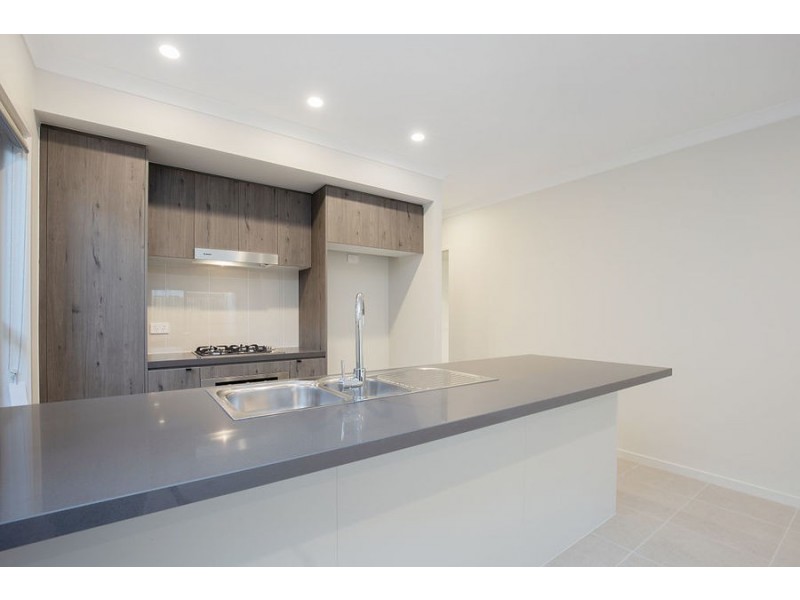 74 Rivina Circuit, Coomera QLD 4209