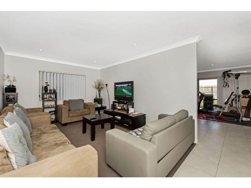 14 Cassia Drive, Coomera QLD 4209