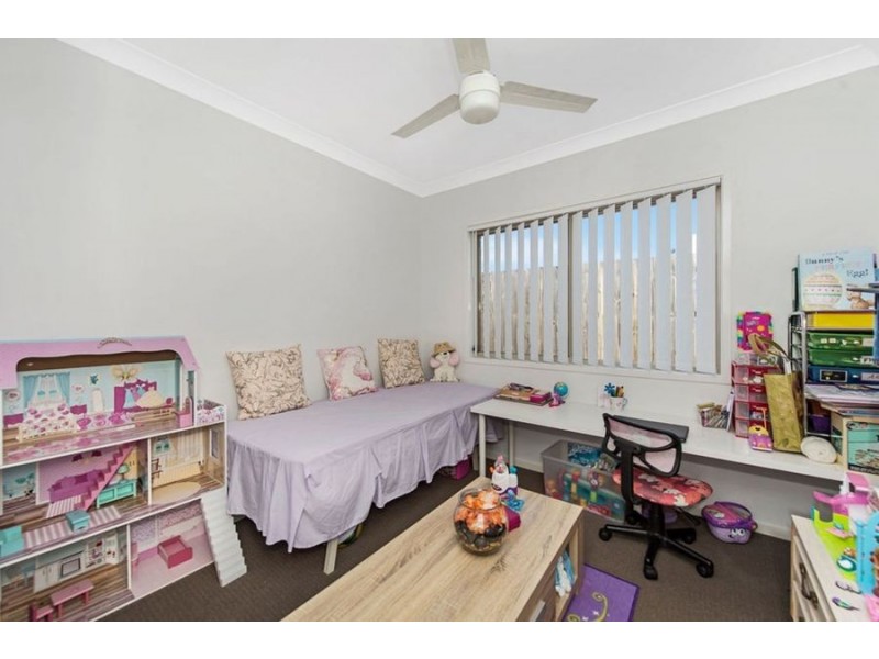 14 Cassia Drive, Coomera QLD 4209