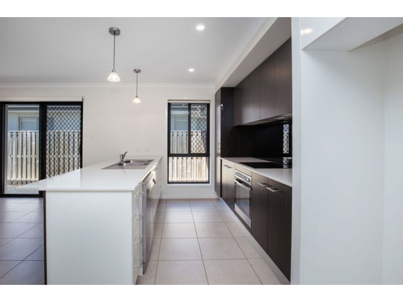 53 Ningaloo Drive, Pimpama QLD 4209