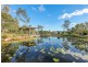 36 Daintree Drive, Coomera QLD 4209
