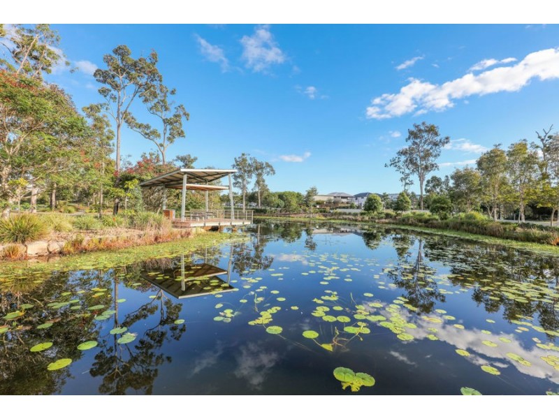 36 Daintree Drive, Coomera QLD 4209
