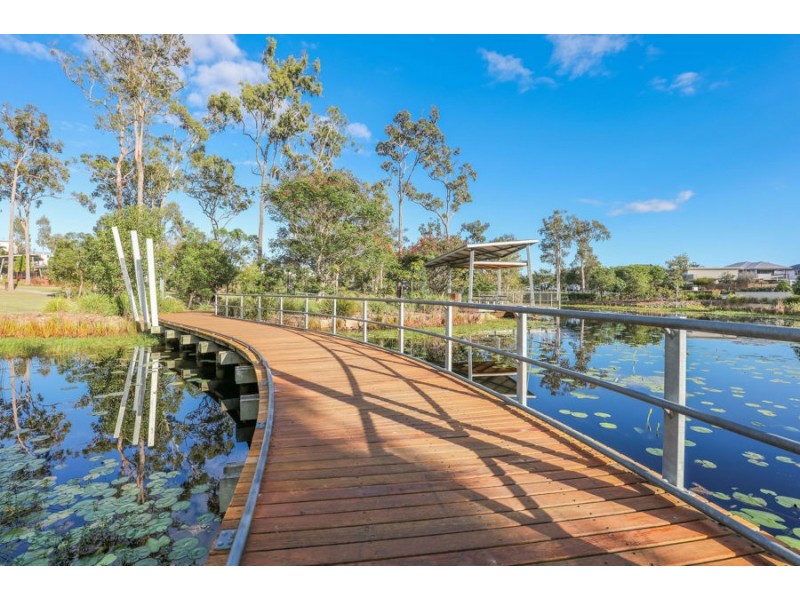 36 Daintree Drive, Coomera QLD 4209
