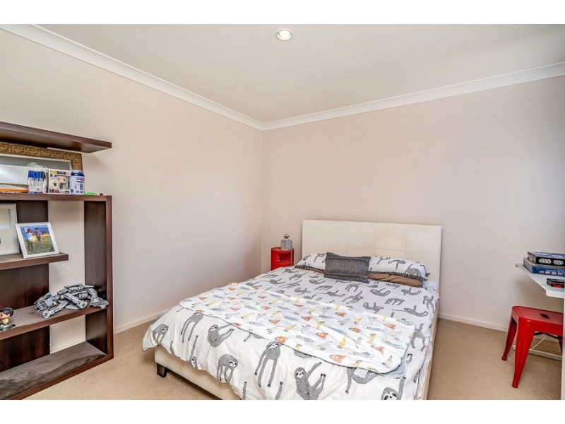 36 Daintree Drive, Coomera QLD 4209