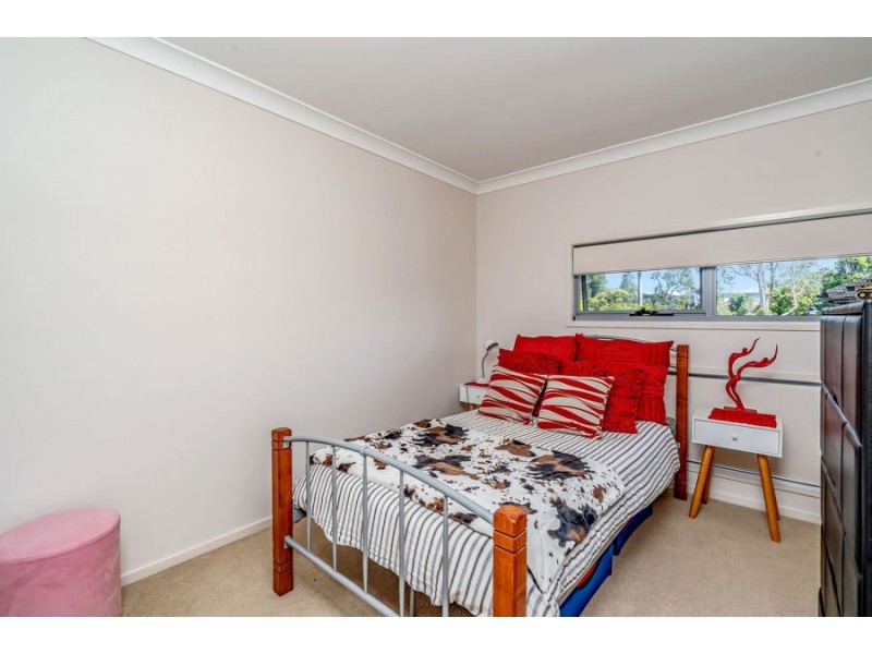 36 Daintree Drive, Coomera QLD 4209