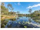 18 Cypress Circuit, Coomera QLD 4209