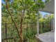 53 Tim Place, Coomera QLD 4209