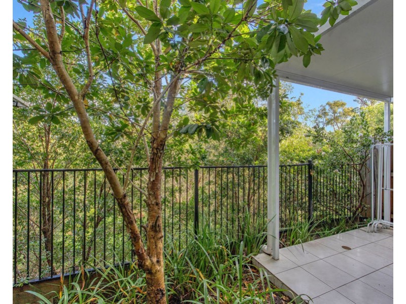 53 Tim Place, Coomera QLD 4209