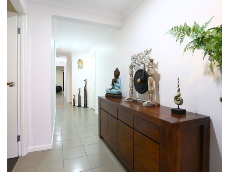 17 Talpa St, Coomera QLD 4209