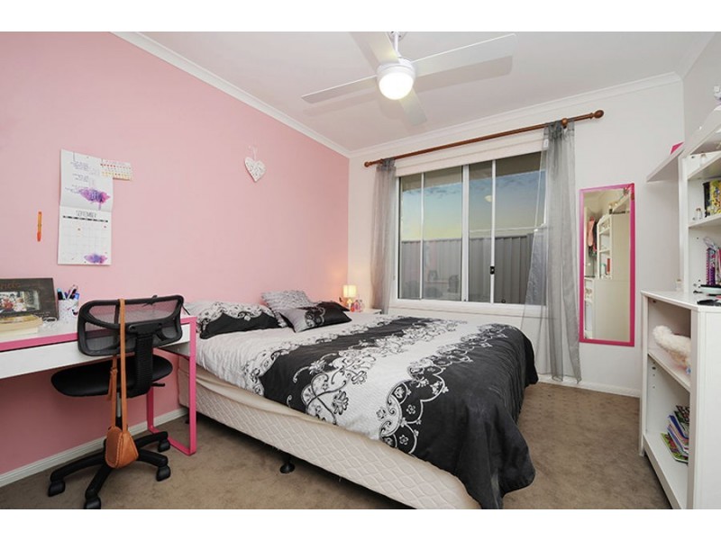 14 Little Mountain Drive, Little Mountain QLD 4551